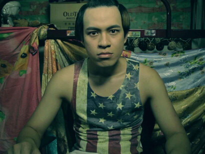 Hikikomori ante su webcam