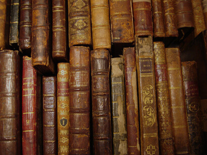 "Non si può conoscere nulla in maniera soddisfacente se prima non se ne è fatta esperienza"