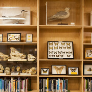 Naturalist Center. Courtesy of California Academy of Sciences