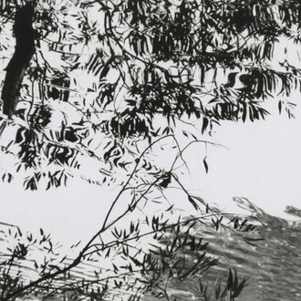 Barbara Blondeau, Untitled (tree branches and a pond), 1966. Courtesy of Stephen Daiter Gallery