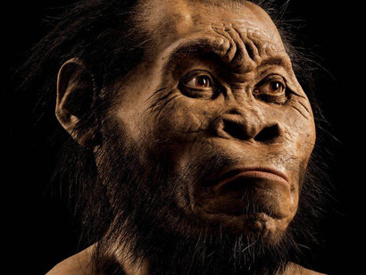 Homo di Naledi