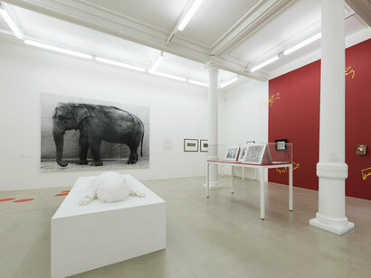 Animality, Exhibition view. Courtesy of Marian Goodman Gallery
