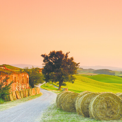 Road in Tuscany
