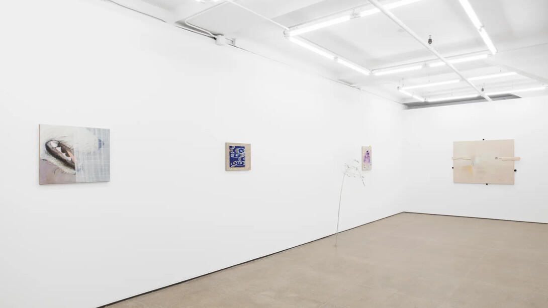 Siobhan Liddell, Going without saying, exhibition view. Courtesy of Gordon Robichaux Gallery