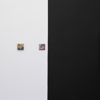 Janice Nowinski, New Work, installation view. Courtesy of Thomas Erben, New York