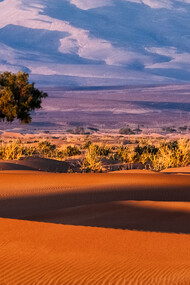 The economic cooperation between Poland and Morocco seems to have a most promising future given their multiple assets 