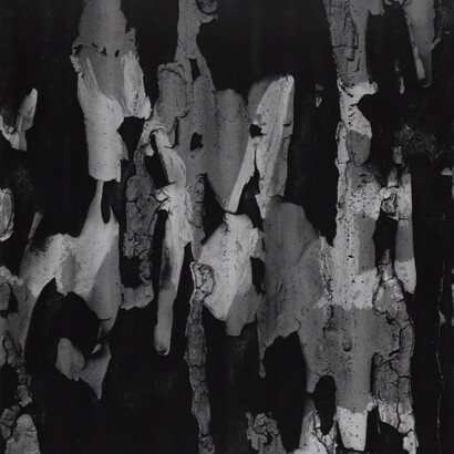 Aaron Siskind. Courtesy of Galerie Julian Sander 