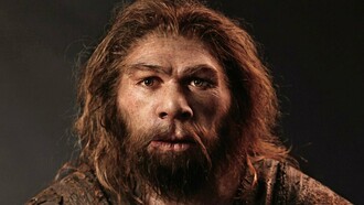 L'uomo di Neanderthal