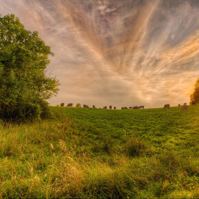 Jerry Freedner, Farm Field 33, 2014, 12" X 18", archival pigment print on paper
