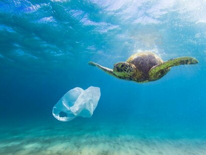 Many companies who were already facing increased pressure to make their products more sustainable opted for paper straws