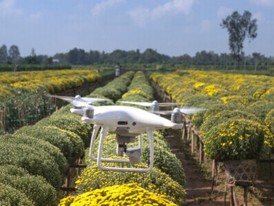 Drone grava vídeo para agricultor que estuda o avanço de sua plantação