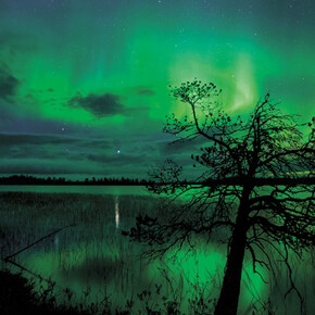 Arctic in Change. Courtesy of Arktikum