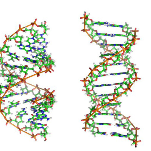 RNA and the Theory of Evolution