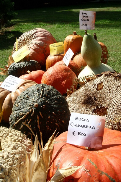 Mercati di prodotti locali