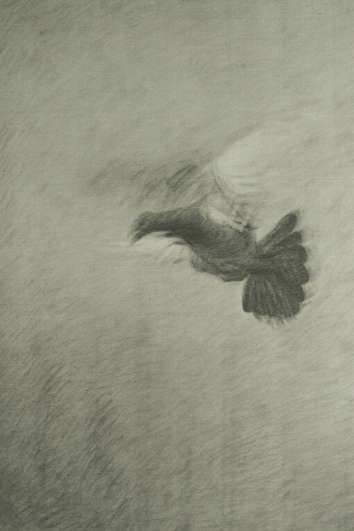 Chambers Review II. Courtesy of Chambers Fine Art