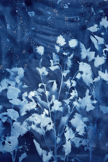 Christine Nguyen, Stars, Constellations, Sunflowers 2023-4, 2023. 
Silver leaf, salt crystals and cyanotype on cotton paper,
77 x 50 in. (195.6 x 127 cm). Courtesy of the artist and David B. Smith Gallery