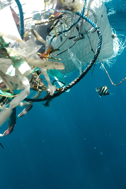 Bajo la superficie oceánica, microplásticos invisibles avanzan como una amenaza persistente para la fauna marina y la salud humana