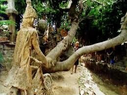 Homage to Marcello Cammi