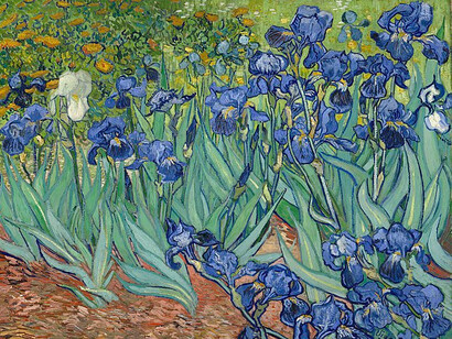 "Irises" artwork, one of several paintings of irises by Vincent Van Gogh painted in 1889 at the Saint Paul-de-Mausole asylum in Saint-Rémy-de-Provence, France