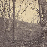 East of the Mississippi: Nineteenth-Century American Landscape Photography. Courtesy of National Gallery of Art 
