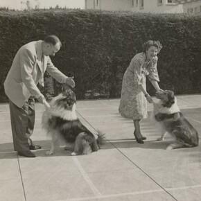 Patrick Pound, The Great Exhibition. Courtesy of NGV