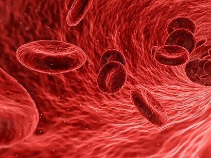 Red blood cells 