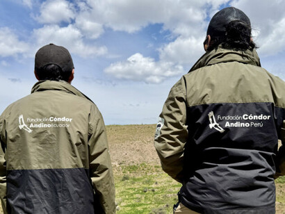 Los datos obtenidos del monitoreo satelital aportarán información clave para diseñar estrategias que protejan al cóndor y fortalezcan su población en Sudamérica