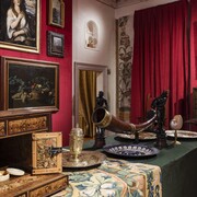 A cabinet of 
wonders. A celebration of art in nature, vista della mostra. Per gentile concessione dei Musei Archeologici Nazionali di Venezia e della Laguna