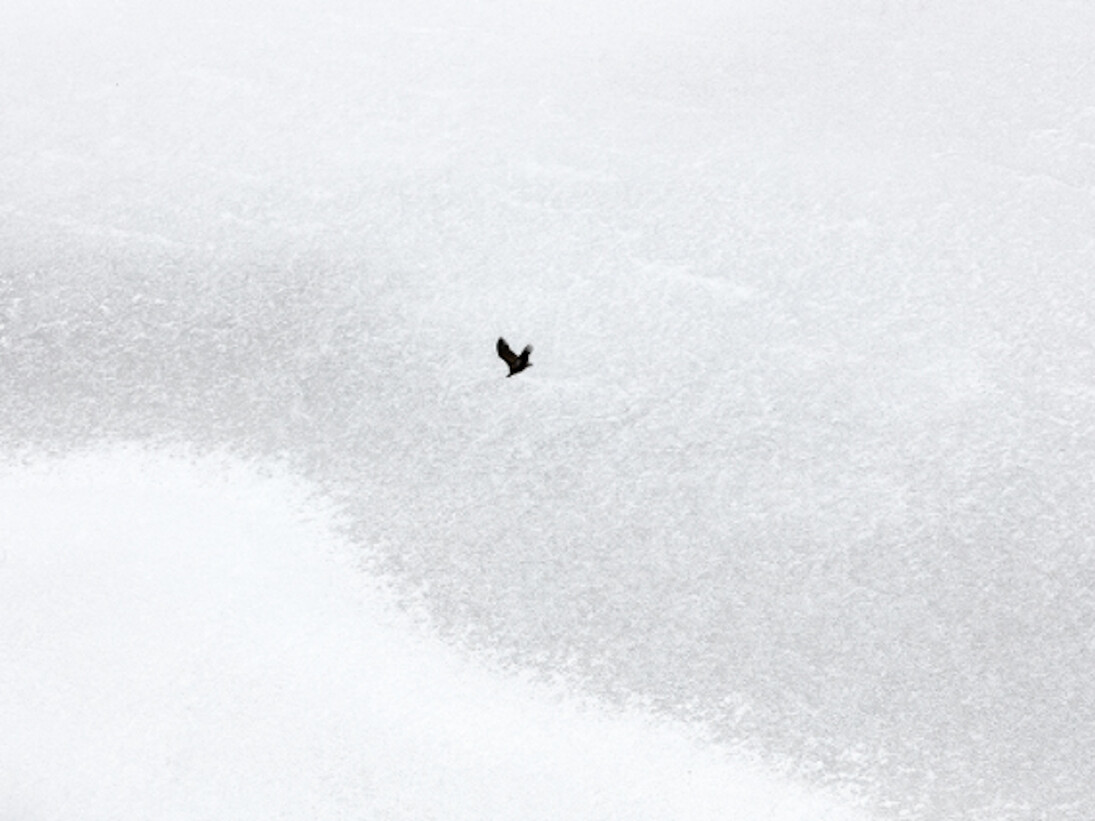 Zack Seckler. Courtesy of ClampArt