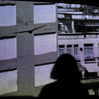 Luiz Roque, Urubu, vista della mostra. Cortesia della Pinacoteca