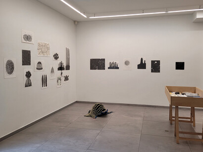Karin van Dam, Terrestrial belts, exhibition view. Courtesy of Galerie Maurits van de Laar