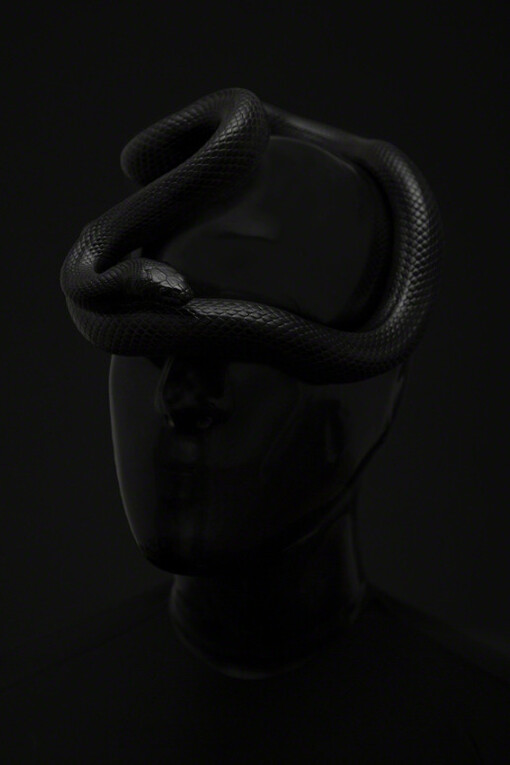 Conatus. Courtesy of PPOW