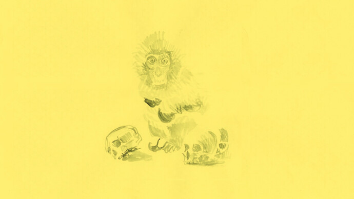 Eti Jacobi, A monkey with yellow fever. Courtesy of Noga Gallery