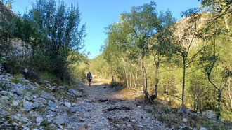 El Camino de Santiago propone una experiencia de despojo y reconexión en la que caminar, en su forma más simple y repetida, se convierte en una vía para reencontrarse con el sentido profundo de la vida y con uno mismo