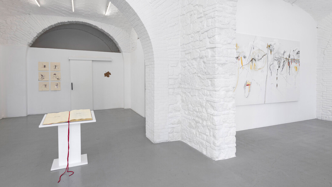 Elisa Montessori, 50 x 35, exhibition view. Courtesy of Monitor