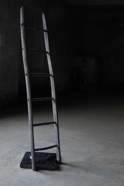 Riflessi 2014