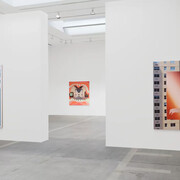Allison Katz, Outta the bag, exhibition view. Courtesy of Hauser & Wirth Gallery