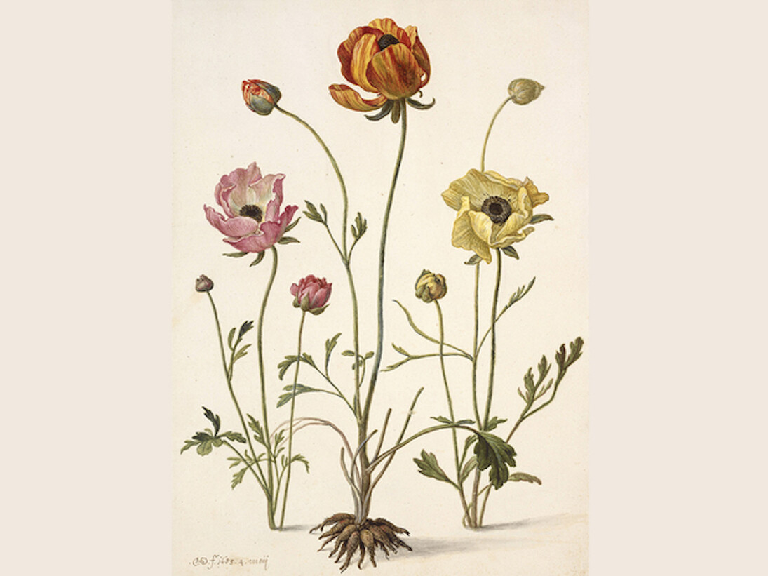 The Charm of the Small. Courtesy of Gemäldegalerie