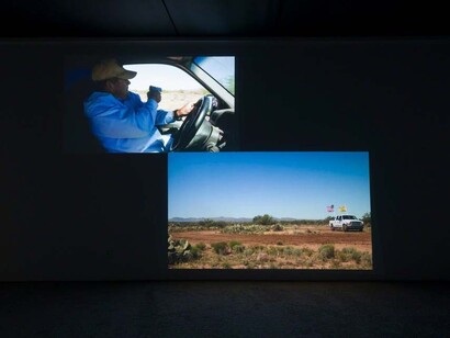 Yoshua Okón. Courtesy of Ghebaly Gallery 