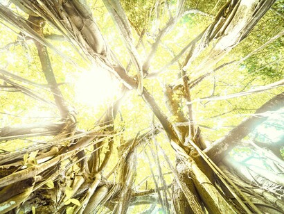 En busca de la iluminación