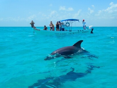 Sian Ka’an, México. Fauna marina