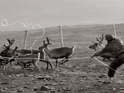 Frost. Courtesy of Canadian Museum of Nature