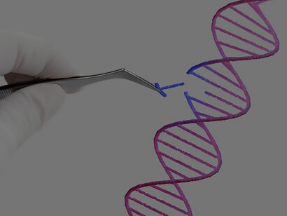 Explore a captivating DNA representation collage featuring the hand of a scientist, alongside compelling imagery depicting genomic imprinting and parental conflict