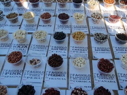 Conoscere le varietà di legumi è importante per la dietà