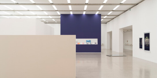 Martin Beck, Exhibition view. Courtesy of Mumok 
