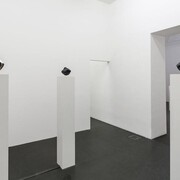 Agnieszka Kurant, Variantology, exhibition view. Courtesy of Lia Rumma Gallery