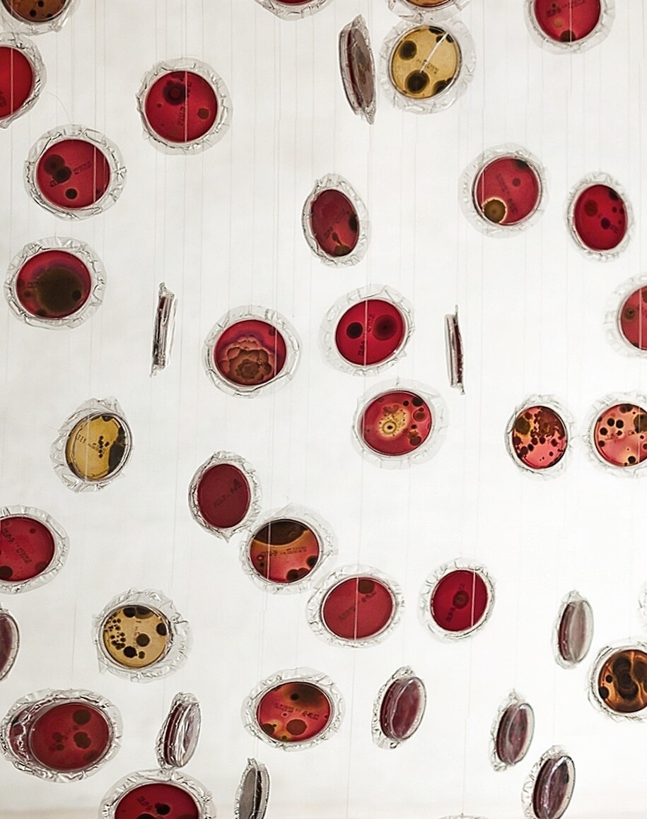 Giuseppina Giordano, All You Feed Is Love, detail, 2013 