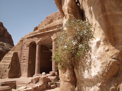 Petra, Jordania. Tumba del jardín