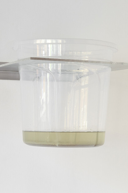 La La Land, at William Benington Gallery, 2019, Photograph by Corey Bartle-Sanderson