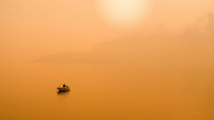 ¡Hasta siempre, Carlos Mellado!